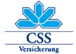 logo_css